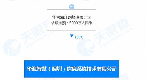 華為海洋深圳新公司成立，深耕數據處理領域