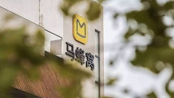 章澤天卸任劉強東關聯公司董事，團貸網案凍結資金31.1億元，ofo承諾負責到底 互聯網信息服務領域動態匯總