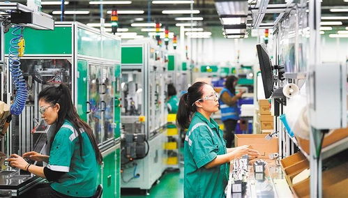 創新活力足 上海市普陀區互聯網信息服務產業掠影