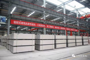 大工程丨云陽這個(gè)企業(yè)讓 綠色工藝 引領(lǐng)現(xiàn)代住宅發(fā)展新方向